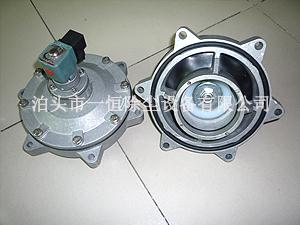 淹沒(méi)脈沖閥-淹沒(méi)式電磁脈沖閥-淹沒(méi)式脈沖電磁閥